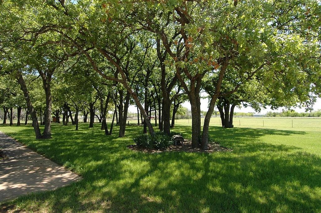 419 Fm 407 Property Photo 5