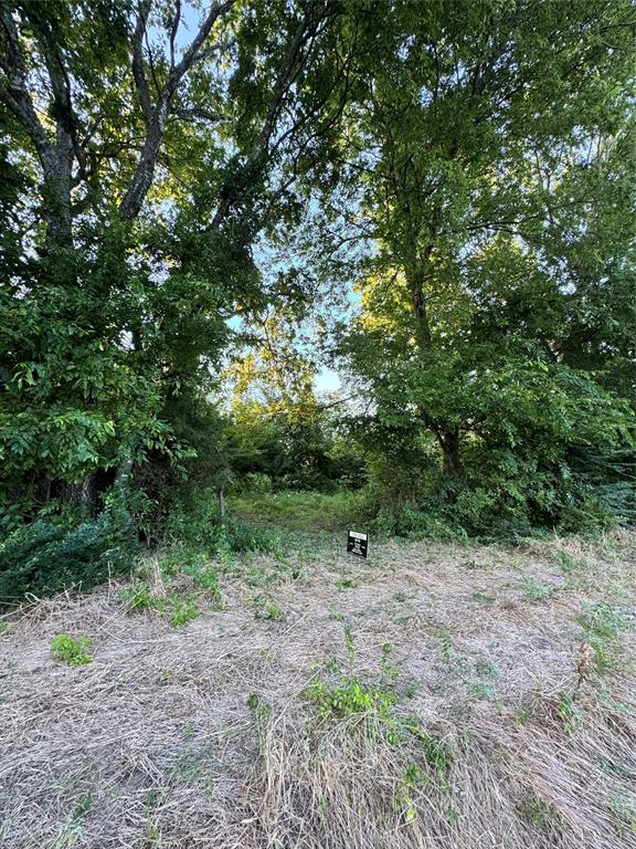 Tract 6 Fm 2194 Property Photo 2