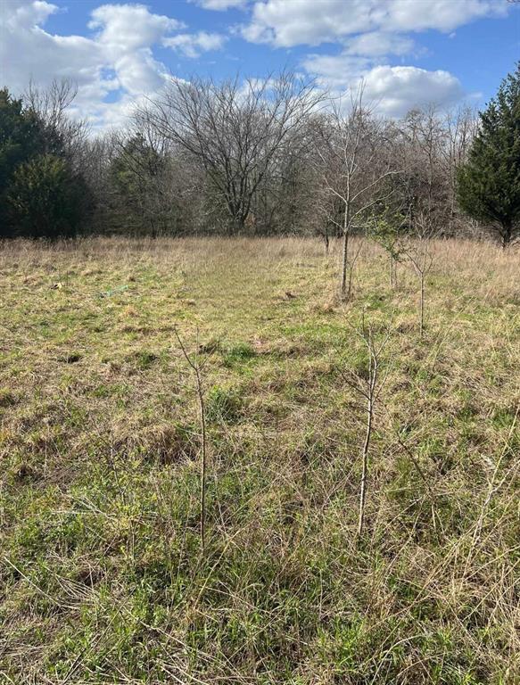 0 0 Property Photo 1