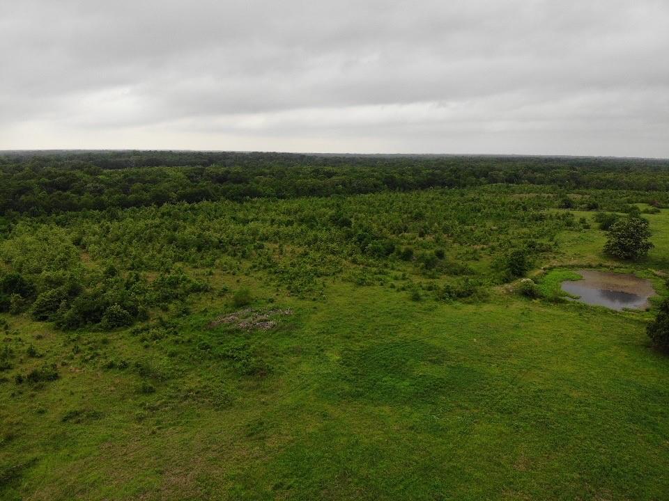 Lot 6 Rains County Rd 2610 Property Photo 1