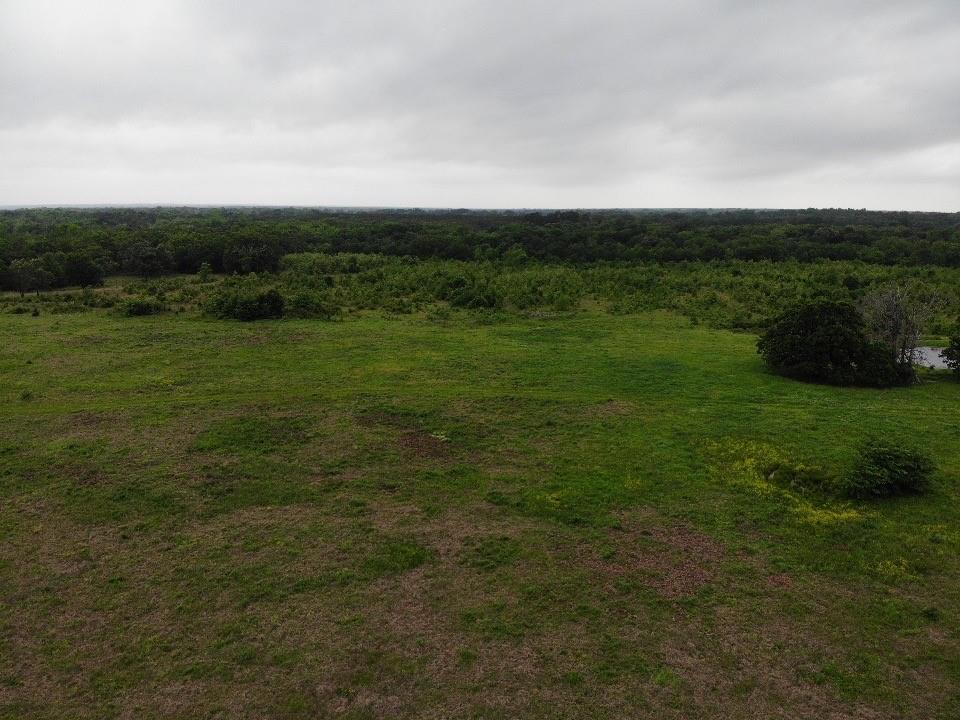 Lot 6 Rains County Rd 2610 Property Photo 2