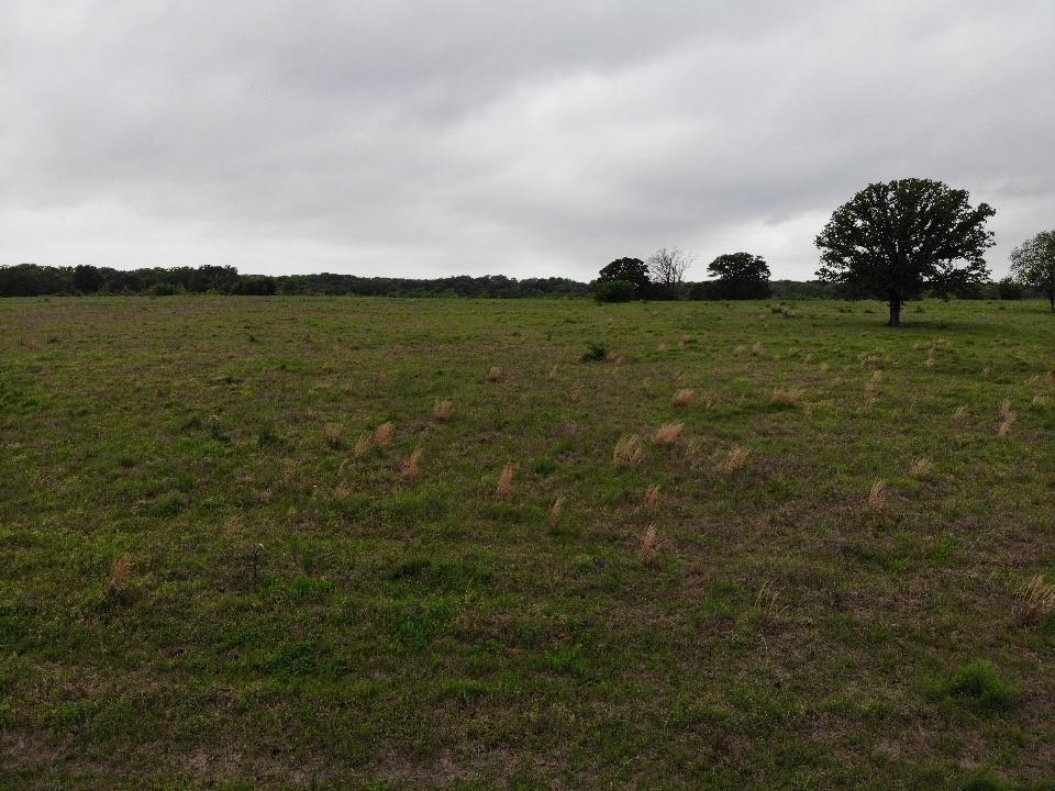 Lot 6 Rains County Rd 2610 Property Photo 3