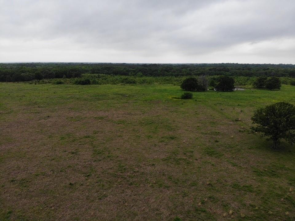 Lot 6 Rains County Rd 2610 Property Photo 5