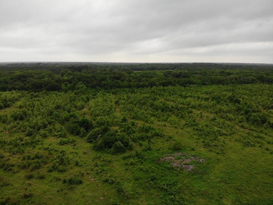 Lot 6 Rains County Rd 2610 Property Photo 8
