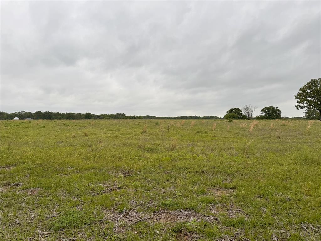 Lot 6 Rains County Rd 2610 Property Photo 13
