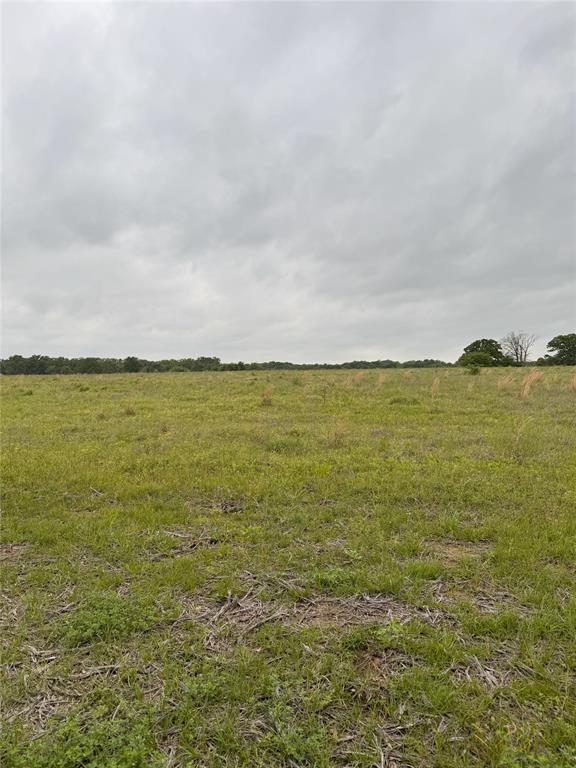 Lot 6 Rains County Rd 2610 Property Photo 14