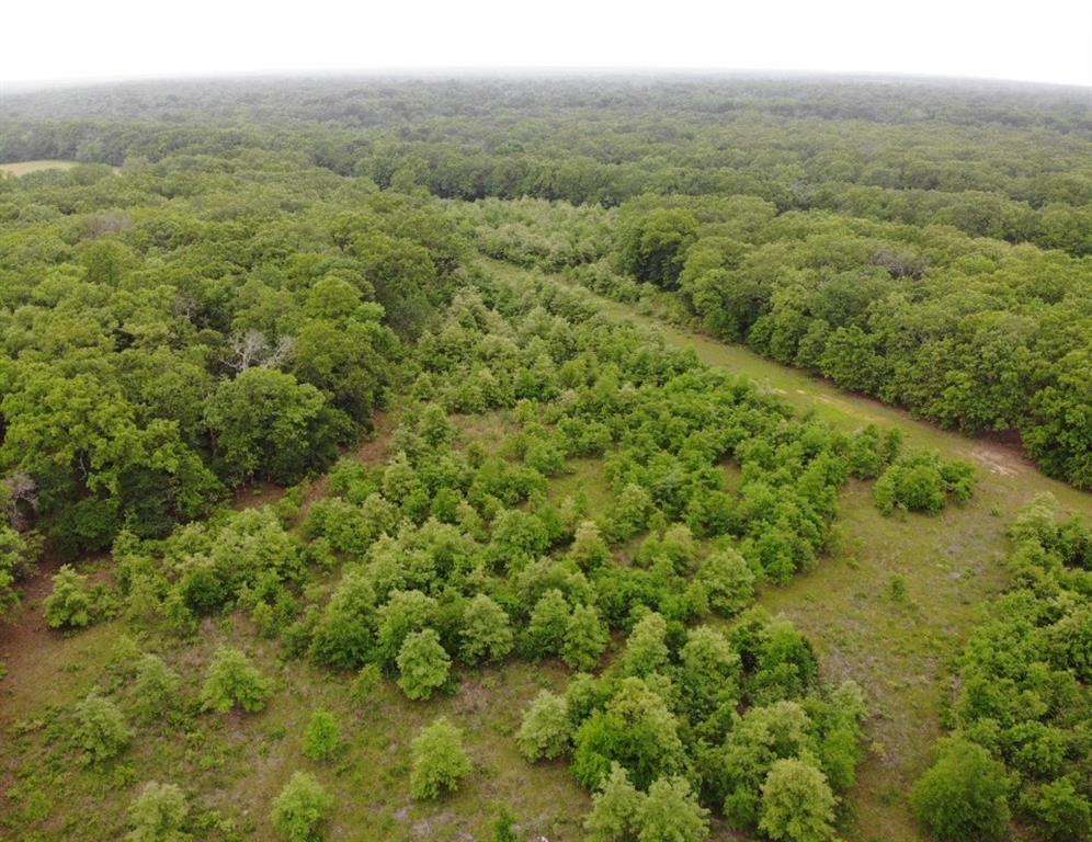 Lot 25 Rains County Road 2610 Property Photo 1