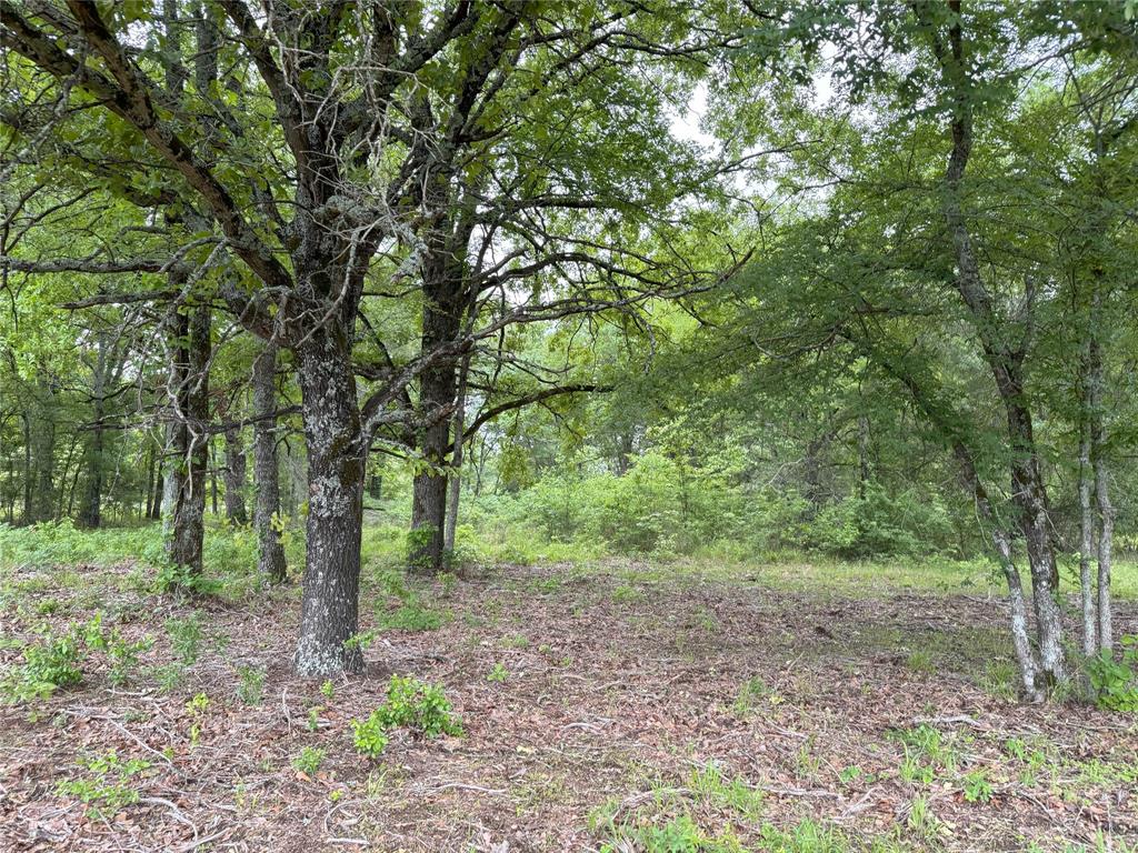 Lot 25 Rains County Road 2610 Property Photo 2