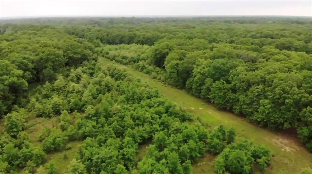 Lot 25 Rains County Road 2610 Property Photo 3