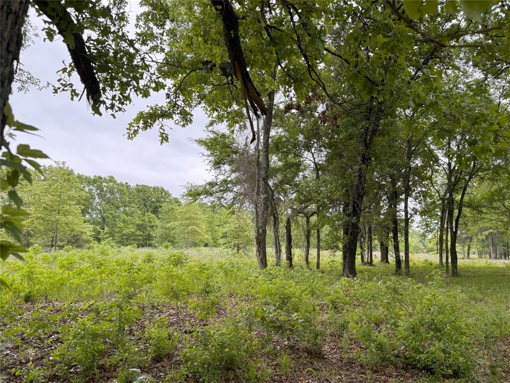 Lot 25 Rains County Road 2610 Property Photo 4