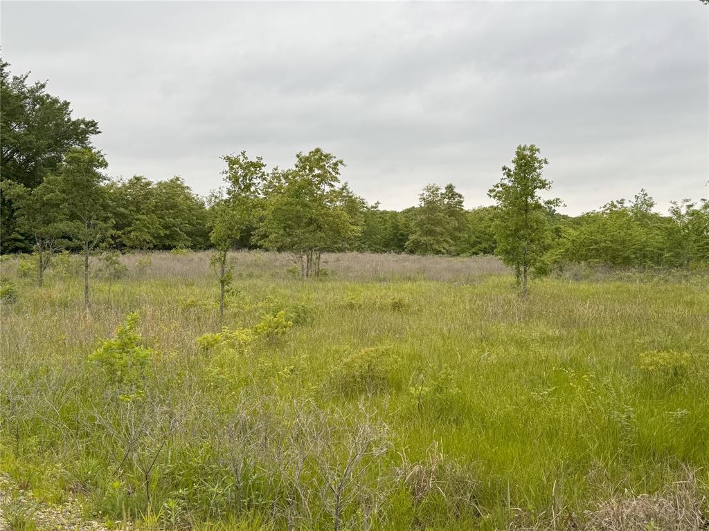 Lot 25 Rains County Road 2610 Property Photo 5