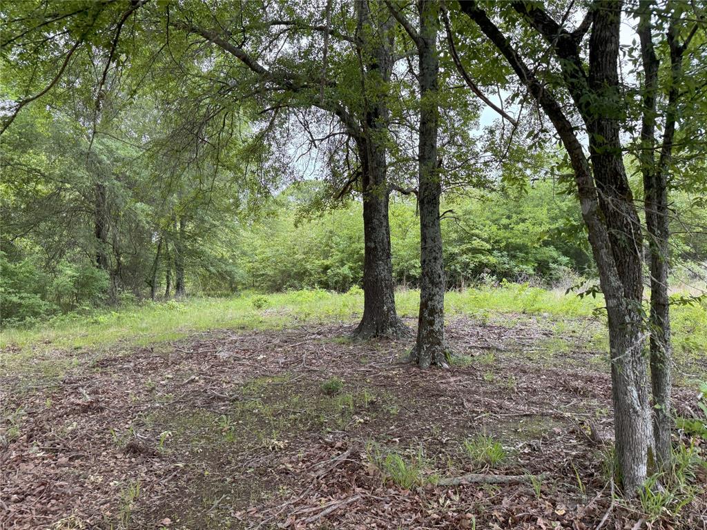 Lot 25 Rains County Road 2610 Property Photo 6