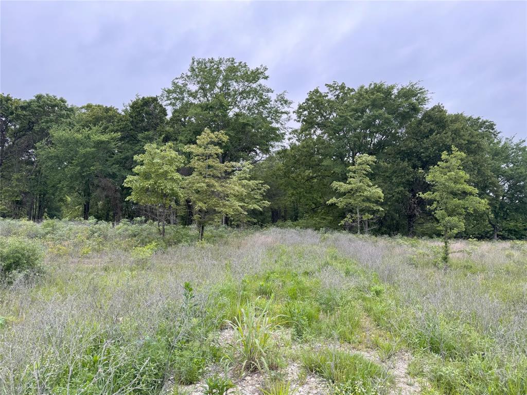 Lot 25 Rains County Road 2610 Property Photo 7