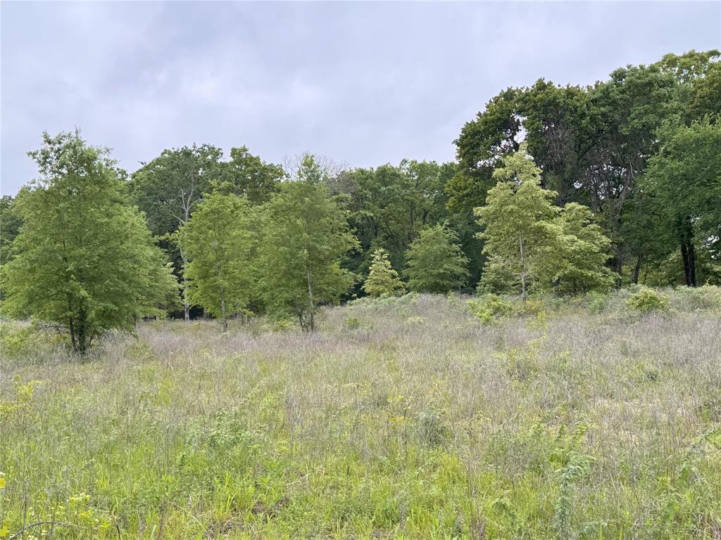 Lot 25 Rains County Road 2610 Property Photo 8