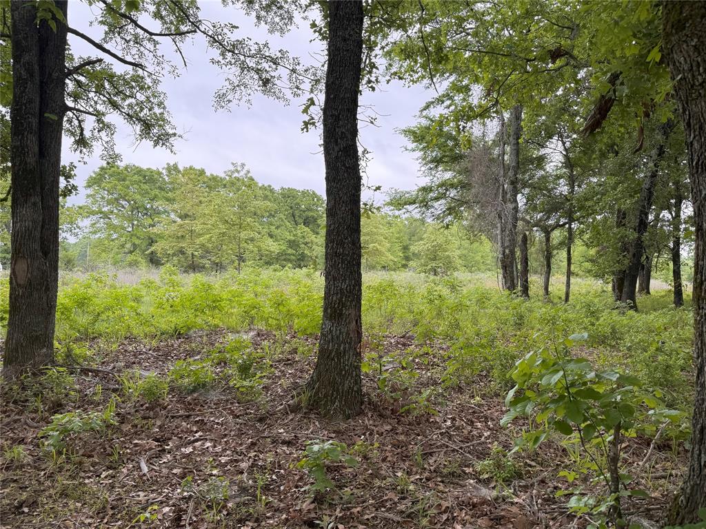Lot 25 Rains County Road 2610 Property Photo 9
