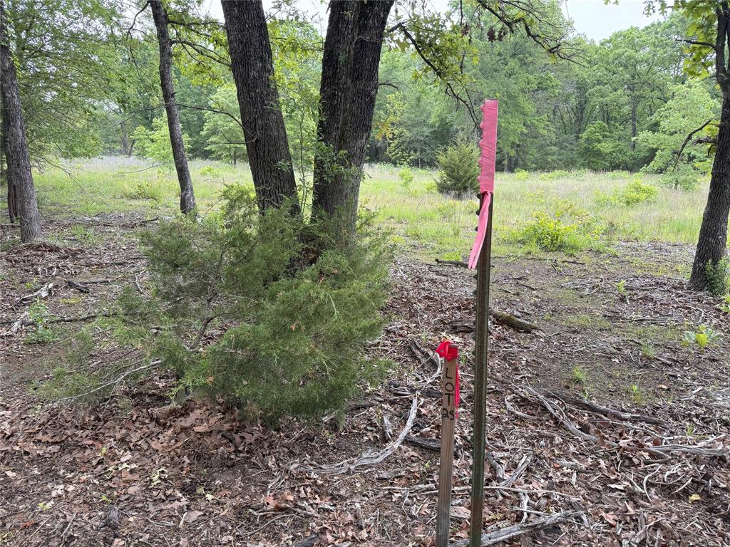 Lot 25 Rains County Road 2610 Property Photo 12