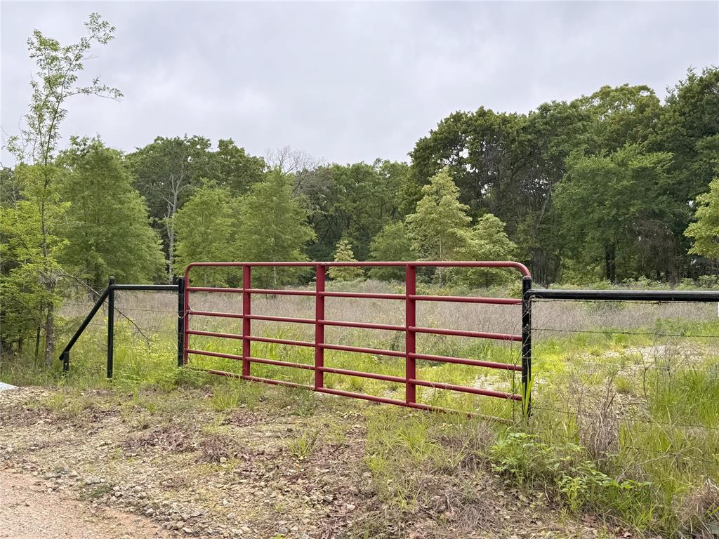 Lot 25 Rains County Road 2610 Property Photo 13