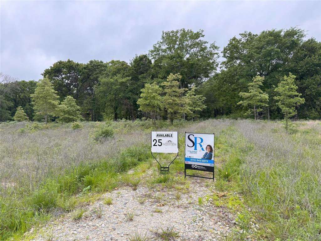 Lot 25 Rains County Road 2610 Property Photo 14