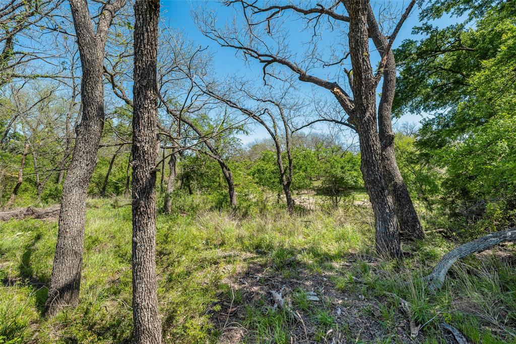 13000 Chalk Mountain Highway Property Photo 11