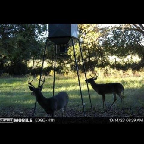 13000 Chalk Mountain Highway Property Photo 31