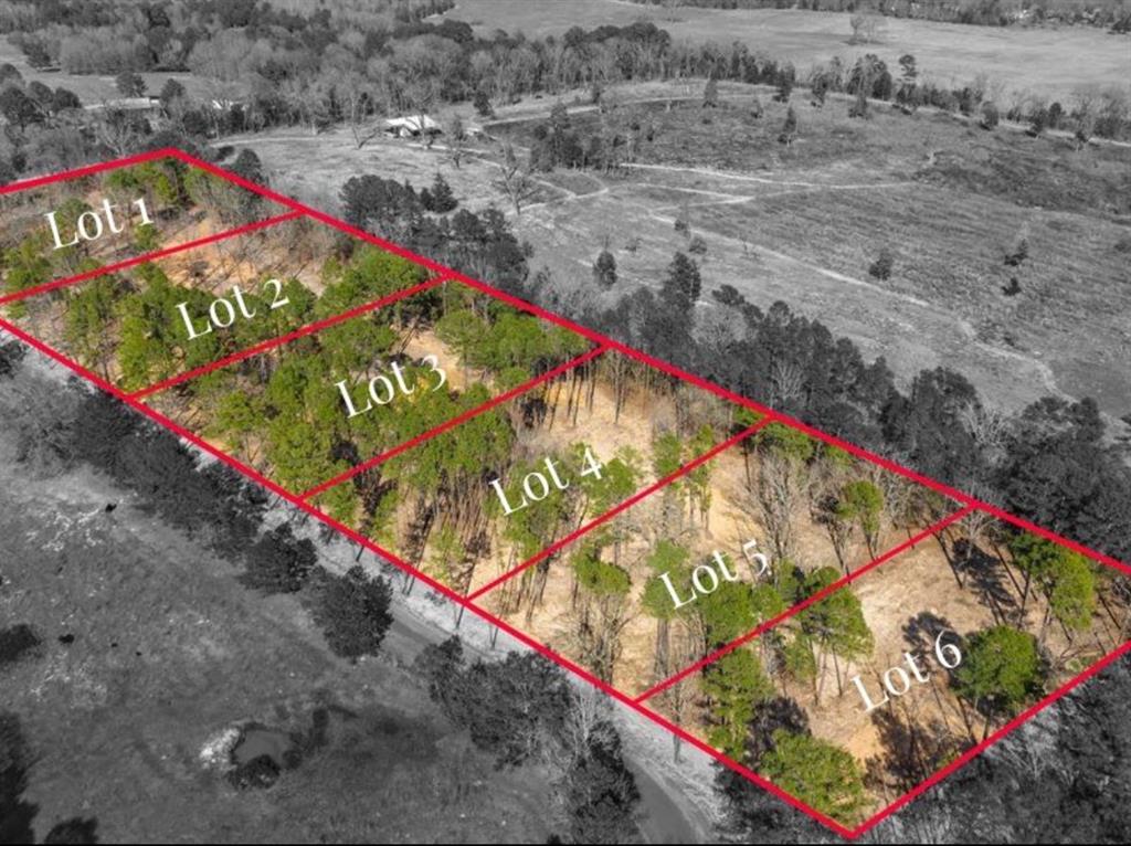 Lot 4 County Road 2540 Property Photo
