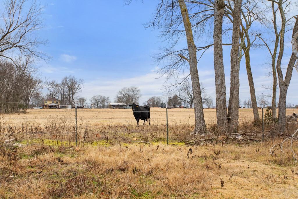 000 Hwy 110 Property Photo 6