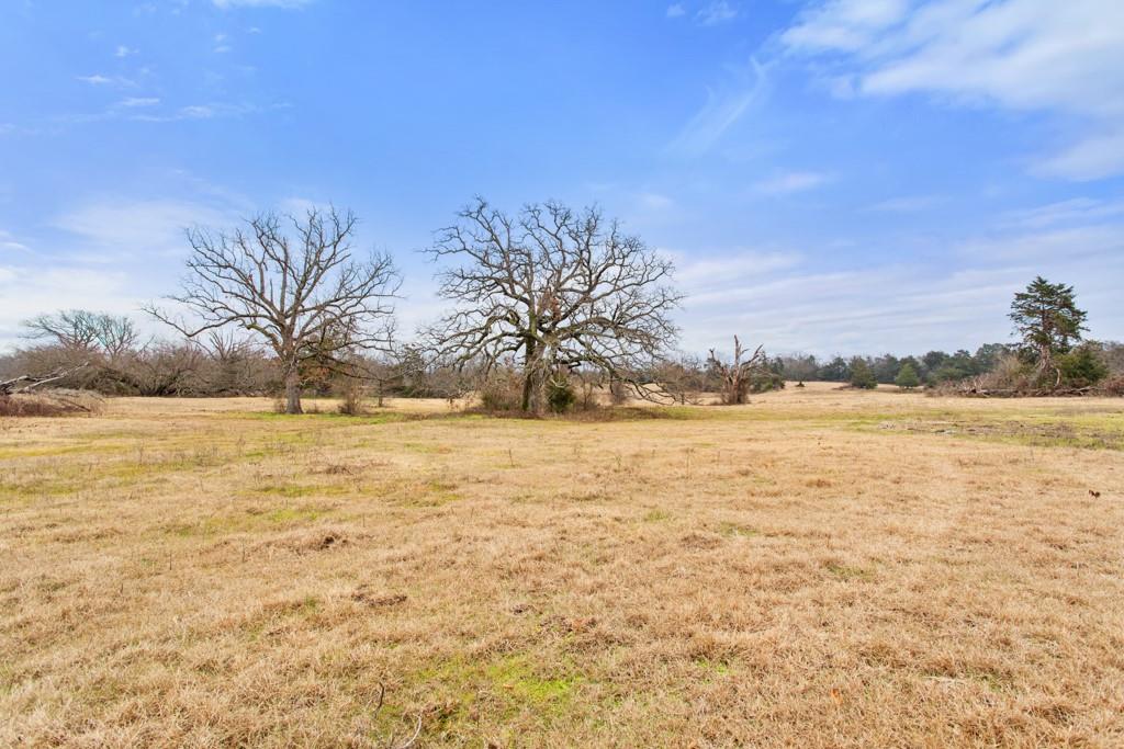 000 Hwy 110 Property Photo 12