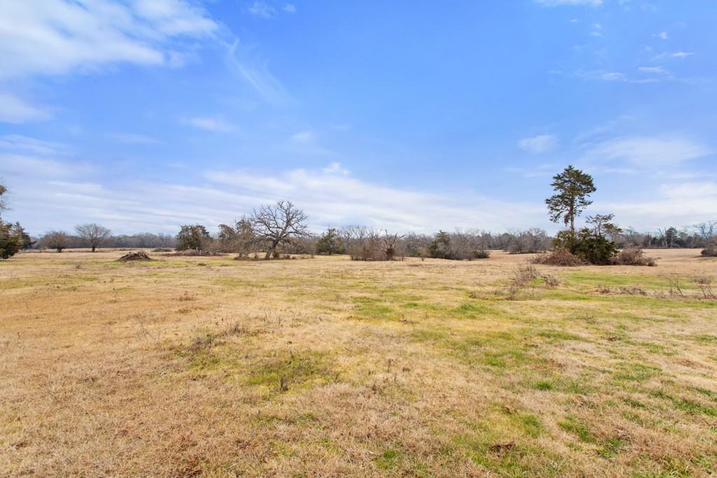 000 Hwy 110 Property Photo 13