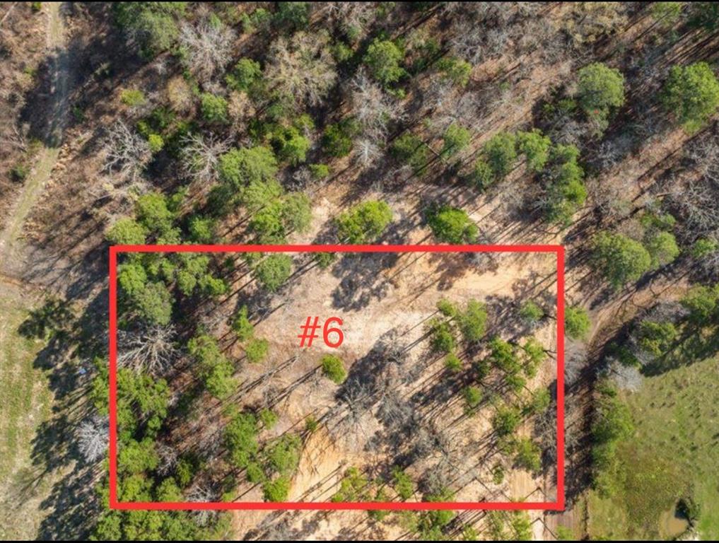 Lot 6 County Road 2540 Property Photo