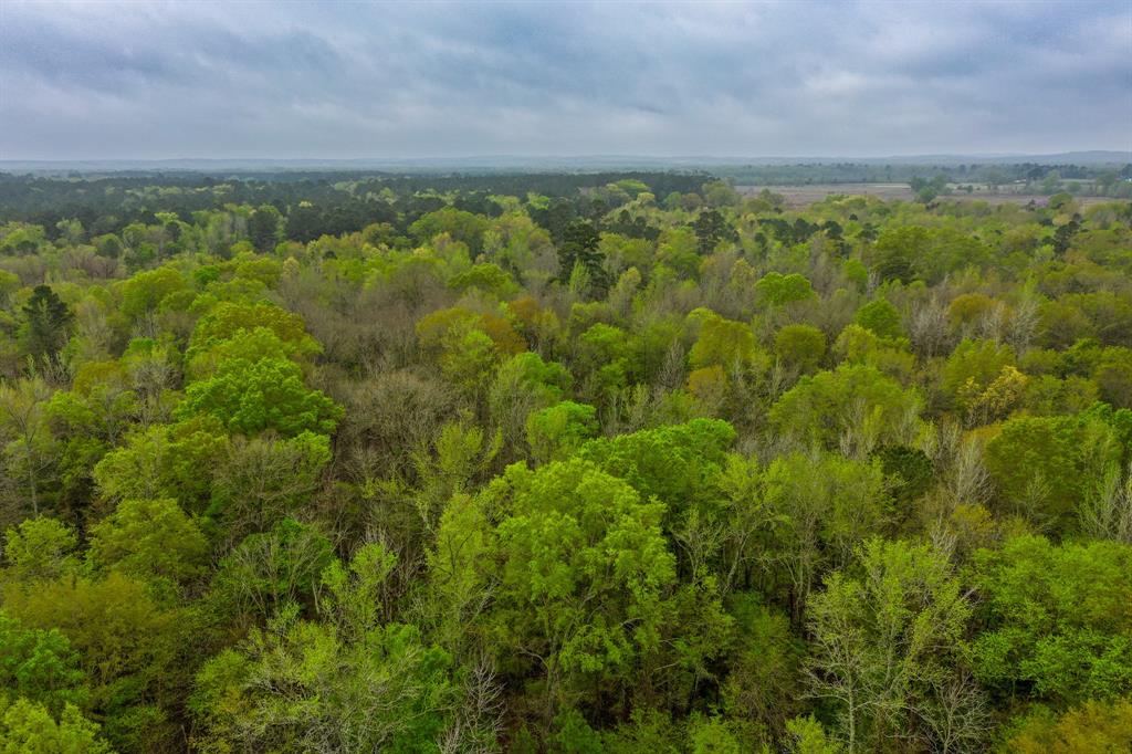 Big Sandy Real Estate Listings Main Image