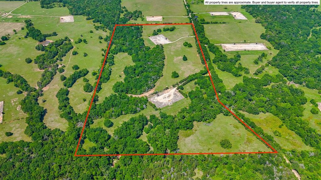 Tract 7 Tbd County Road 445 Property Photo