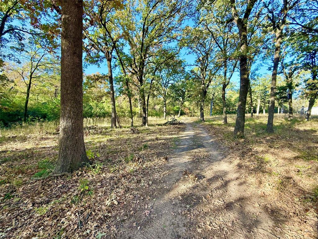 264 County Road 1452 Property Photo 1