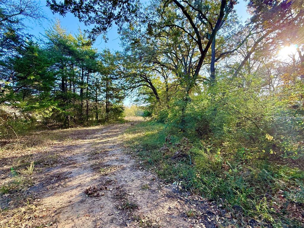 264 County Road 1452 Property Photo 4
