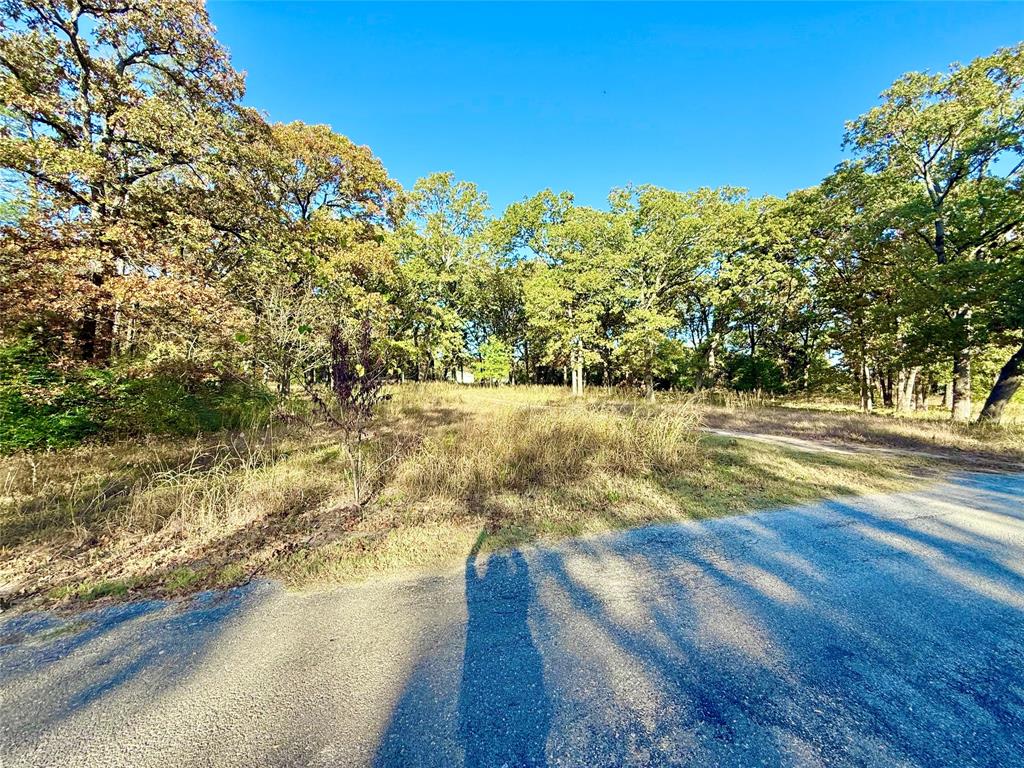 264 County Road 1452 Property Photo 7