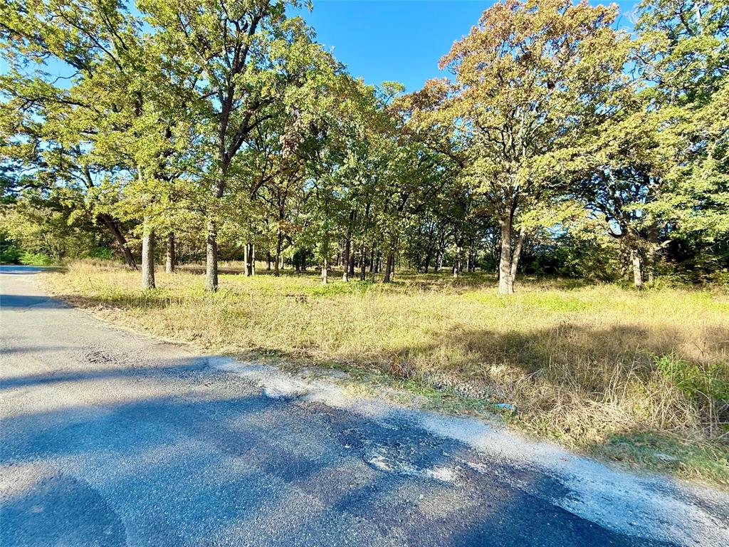 264 County Road 1452 Property Photo 9