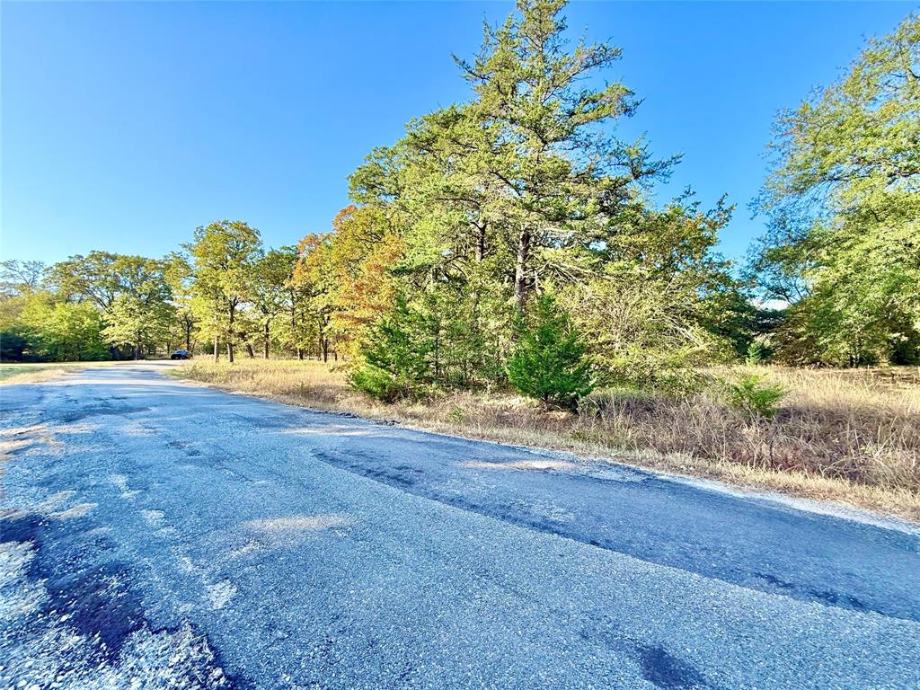264 County Road 1452 Property Photo 12