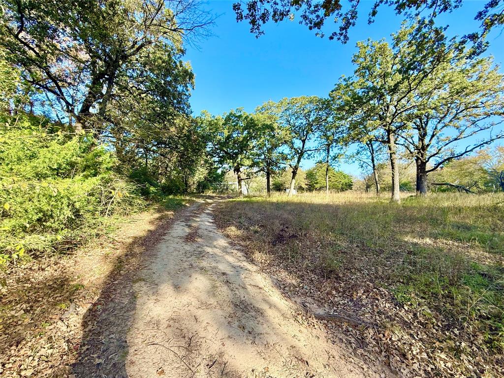 264 County Road 1452 Property Photo 15