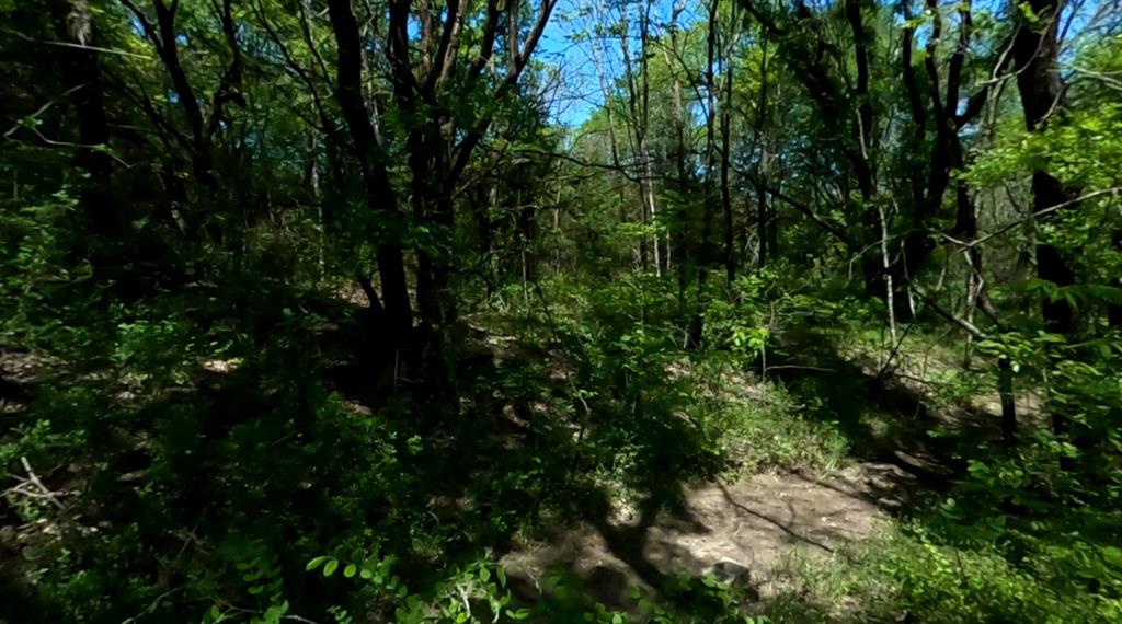 10045 Archer Road Property Photo 18