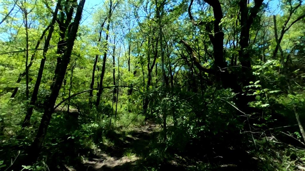 10045 Archer Road Property Photo 20