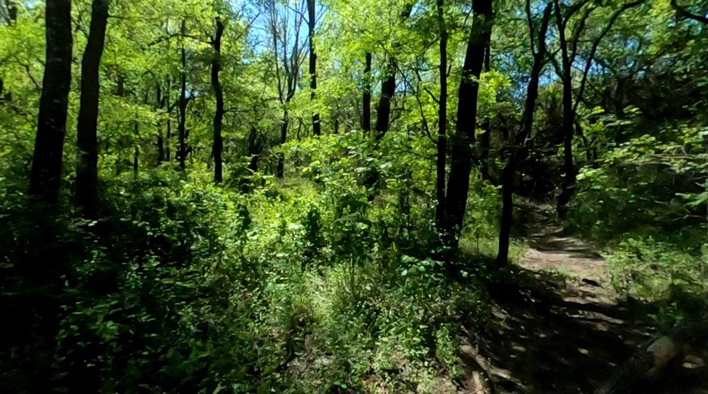 10045 Archer Road Property Photo 21