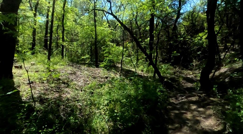 10045 Archer Road Property Photo 22