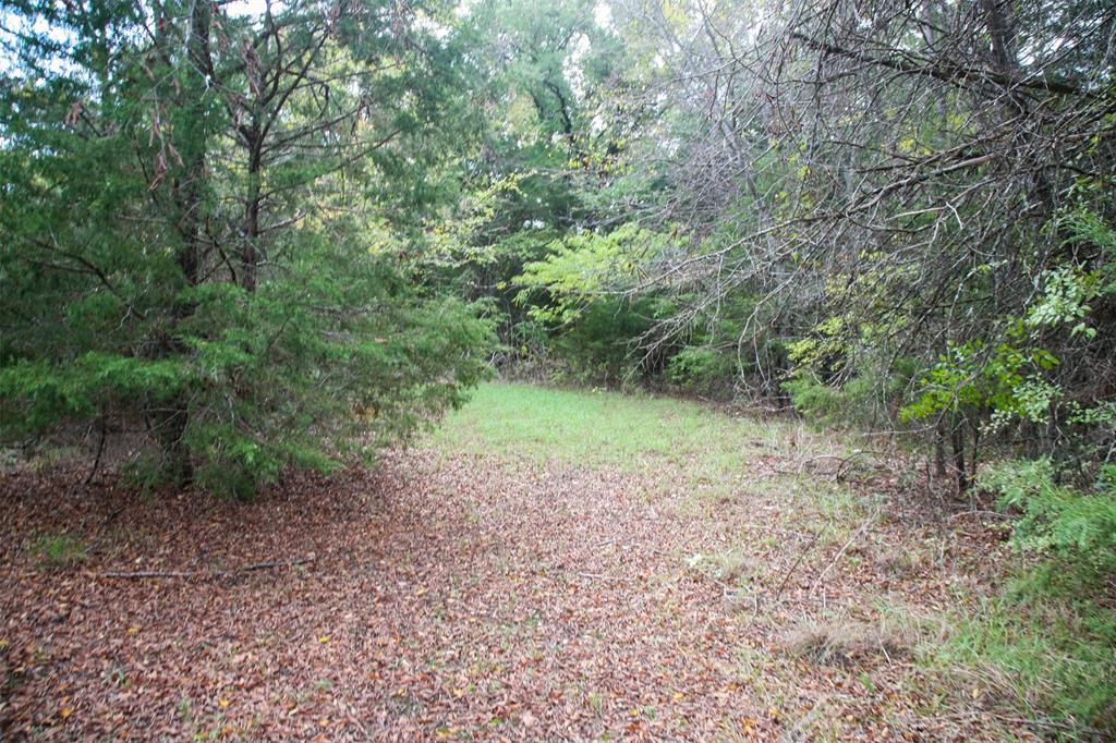 Lot 66,67,68,69,70,71 Tonkawa Trail Property Photo 5