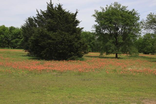 Lot 66,67,68,69,70,71 Tonkawa Trail Property Photo 23