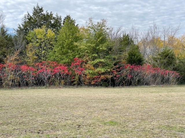 Lot 66,67,68,69,70,71 Tonkawa Trail Property Photo 25