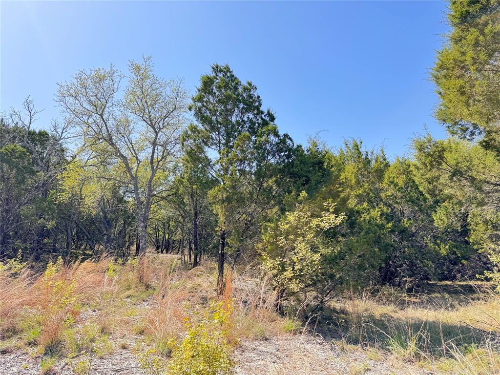 1036 Creek Crossing Road Property Photo