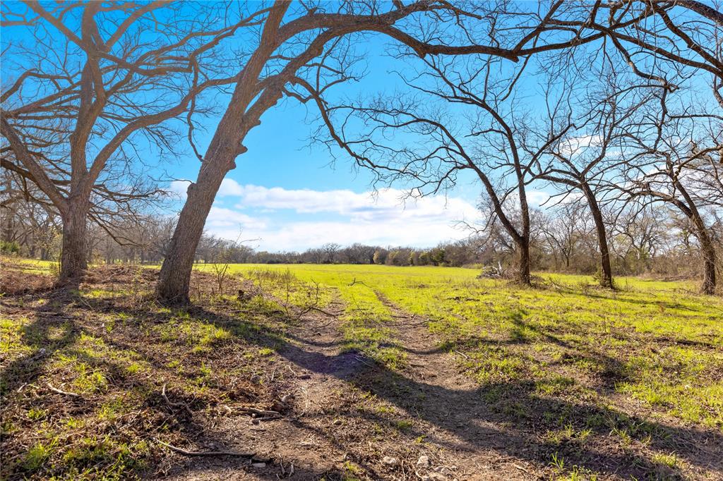 85 Ac. Tract 3 New Windsor Parkway Property Photo 13