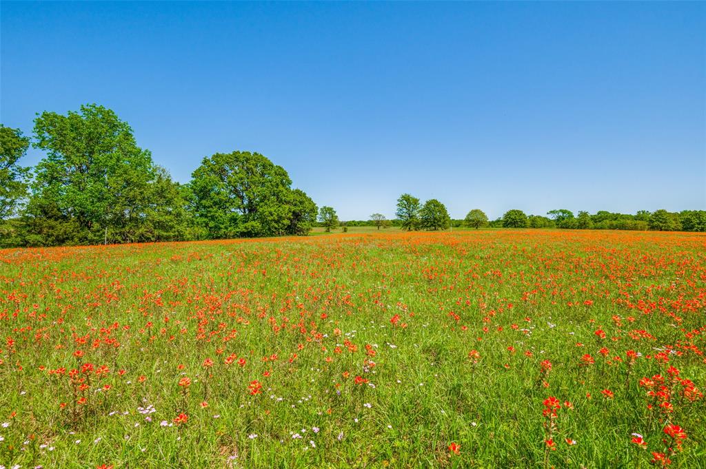 Lot 44 Paradise Cov Property Photo