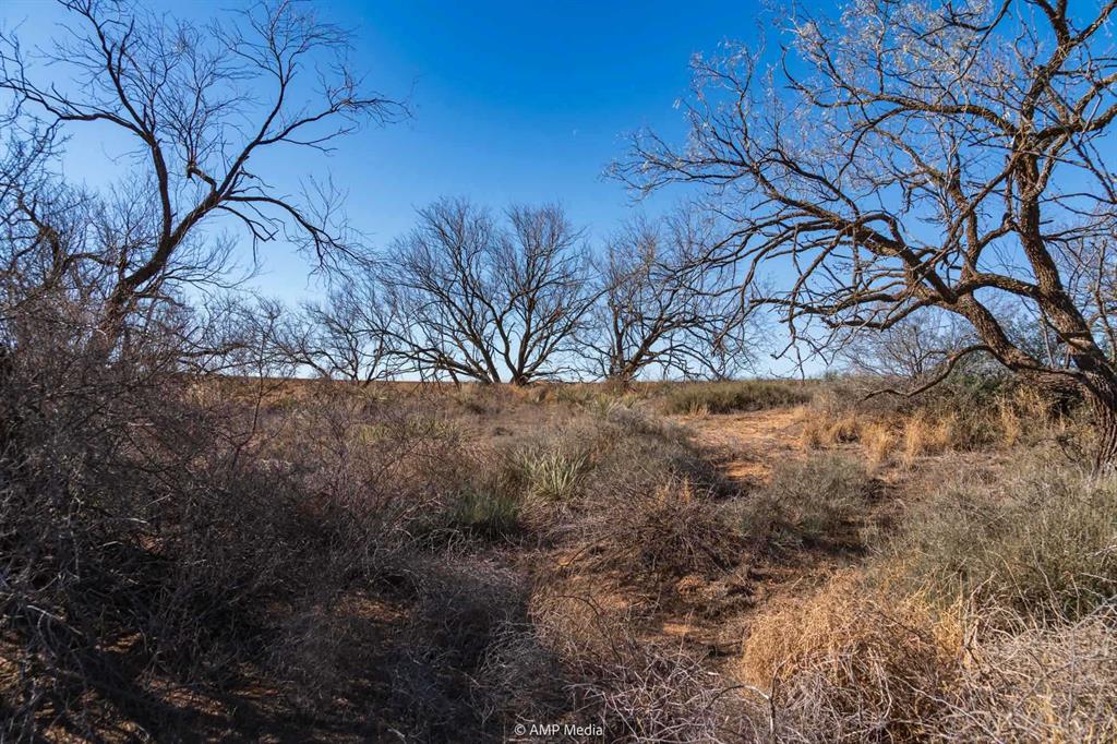 Tbd Fm-2836 Property Photo 4