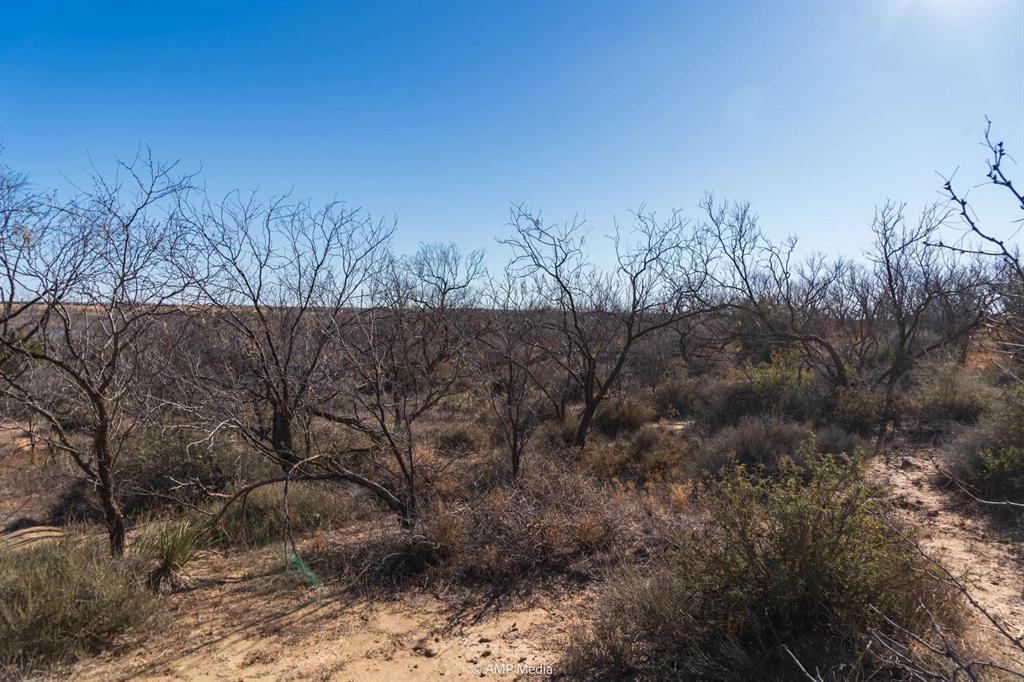 Tbd Fm-2836 Property Photo 5