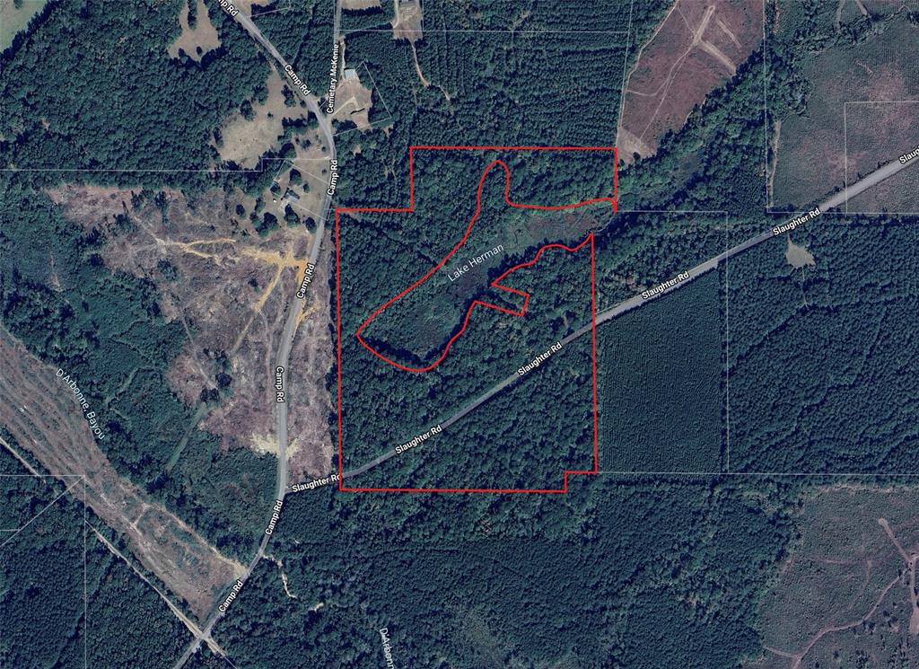242 Slaughter Road Property Photo